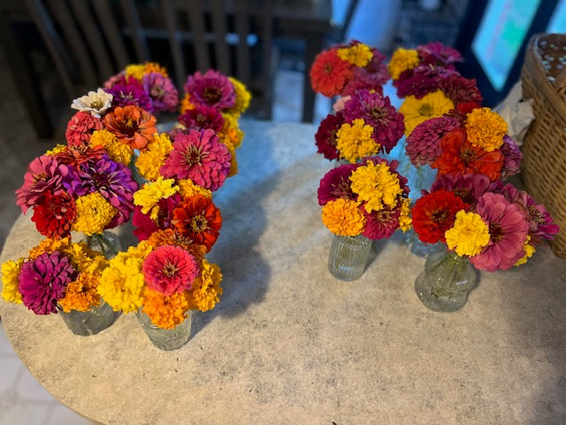 Growing Through Seasons: Life Updates from the Garden