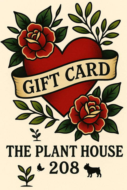 The Plant House 208 Gift Card