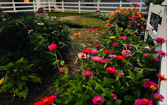 Your support helps something beautiful grow.